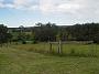 Tinonee-orchids-II 002